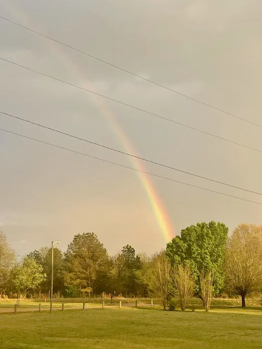 Sunrise Retreat RV Resort Picture 5