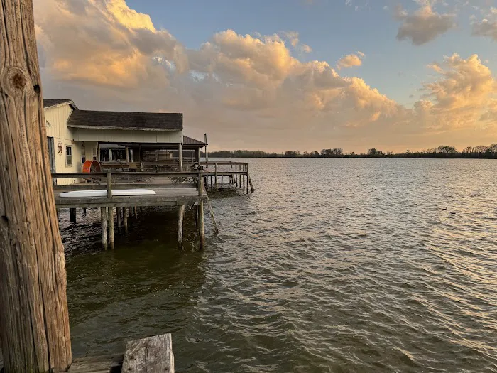 The Duckling Picture 5