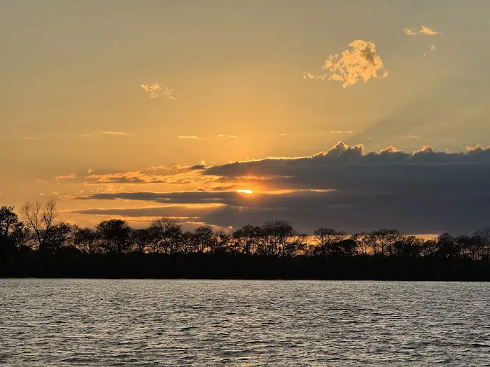 The Duckling Picture 8