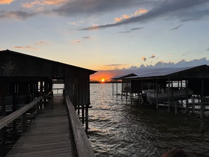 The Duckling Picture 4