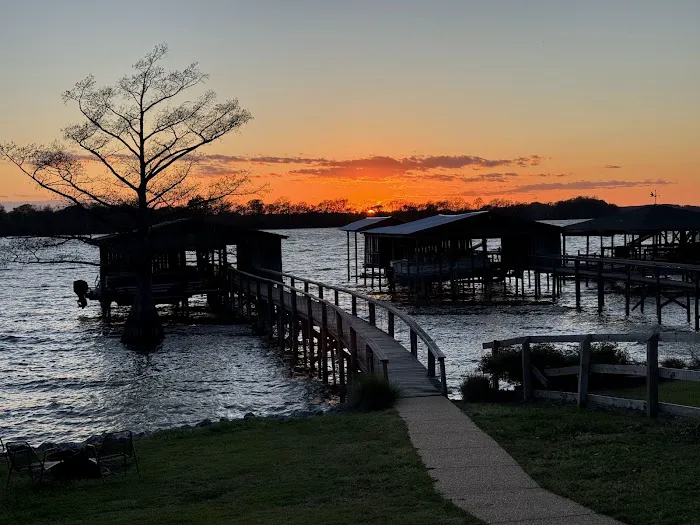 The Duckling Picture 1