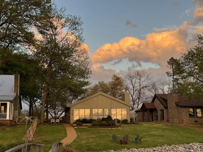 The Duckling Picture 3