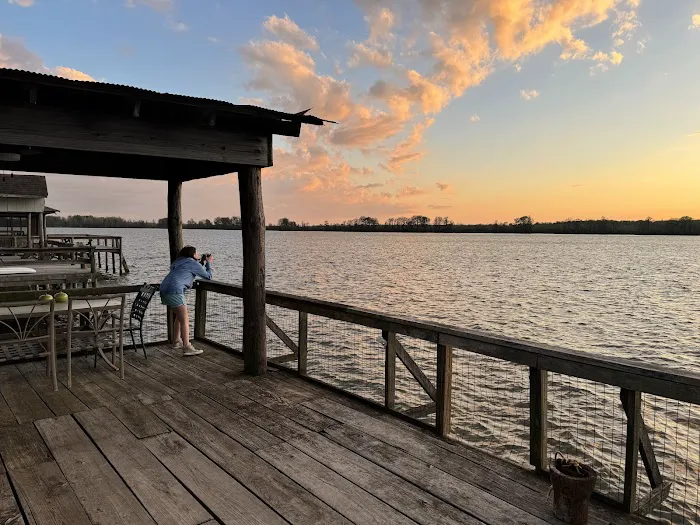 The Duckling Picture 6