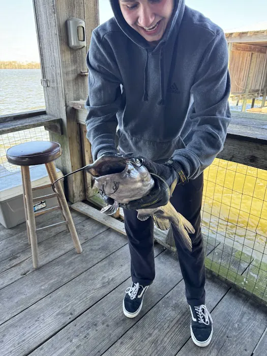 The Duckling Picture 2