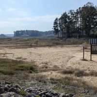 Dub Patton Recreation Area ico