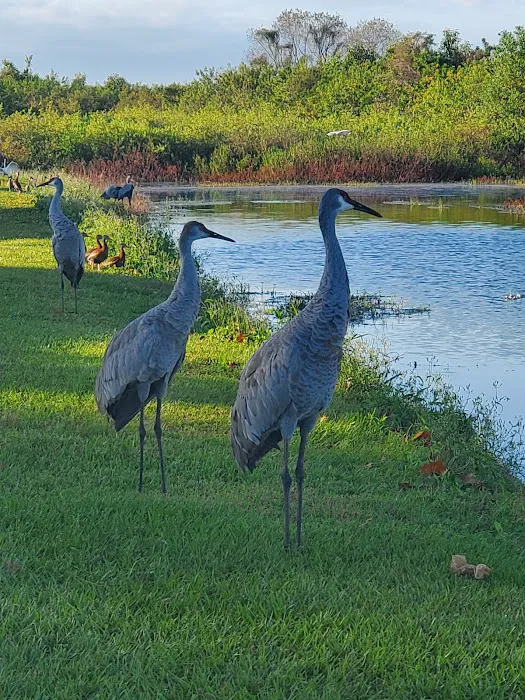 Lake Toho Fish Camp Picture 6