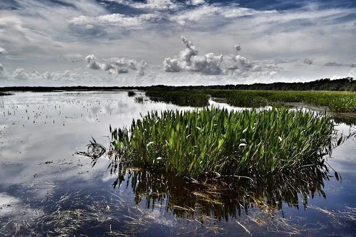 Lake Toho Fish Camp Picture 8