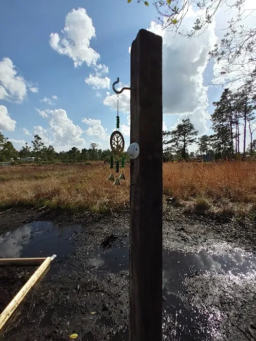 Camp NoWorries Picture 1