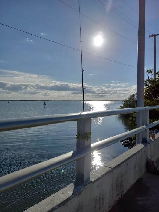 Moose lodge campground Picture 2