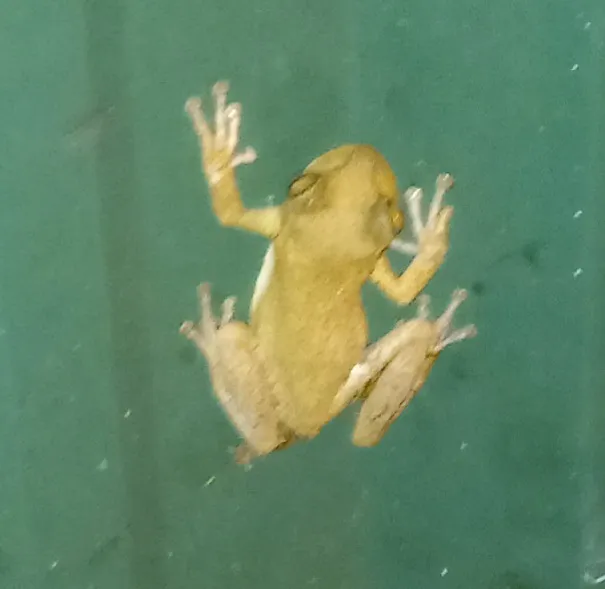 Moose lodge campground Picture 1