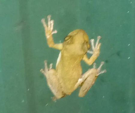 Moose lodge campground