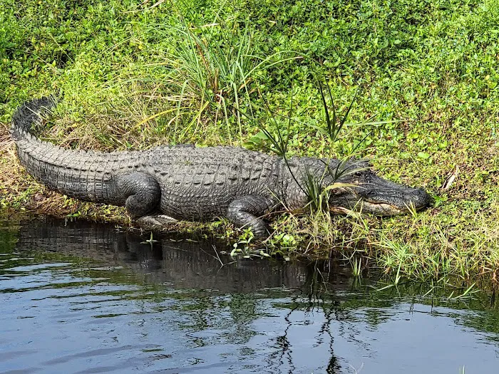 KSC Campground Picture 9