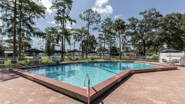 Encore Sherwood Forest Picture 4