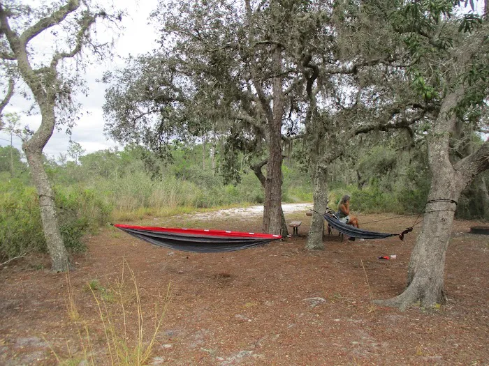 Huckleberry Island Campsite Picture 5
