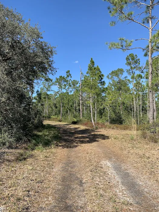Huckleberry Island Campsite Picture 7