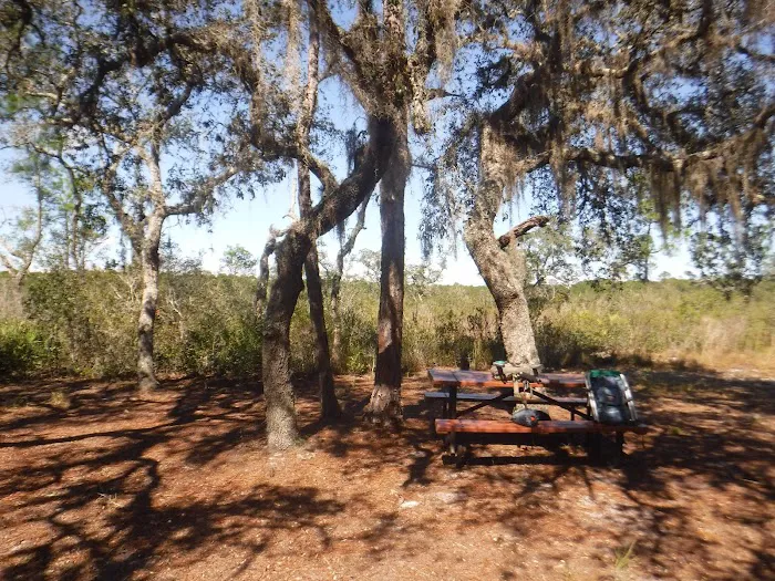 Huckleberry Island Campsite Picture 6