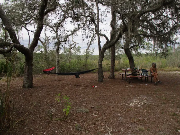 Huckleberry Island Campsite Picture 3