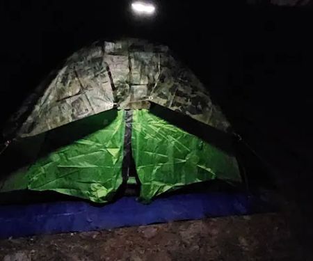 Huckleberry Island Campsite