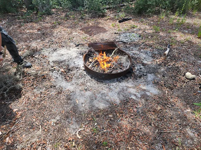 Huckleberry Island Campsite Picture 9