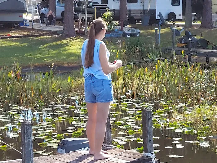 Paradise Island RV Park Picture 6