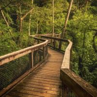 Hillsborough River State Park Campground ico