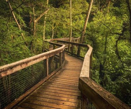 Hillsborough River State Park Campground