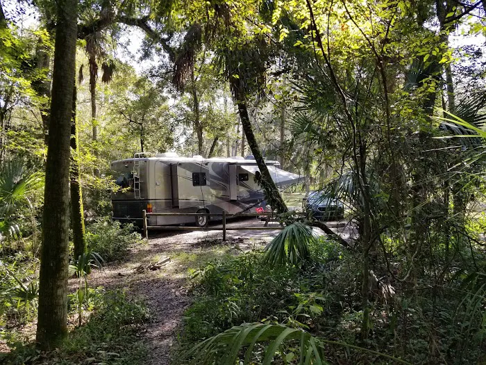 Hillsborough River State Park Campground Picture 2
