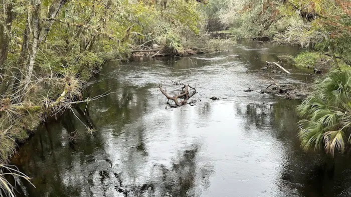 Hillsborough River State Park Campground Picture 6