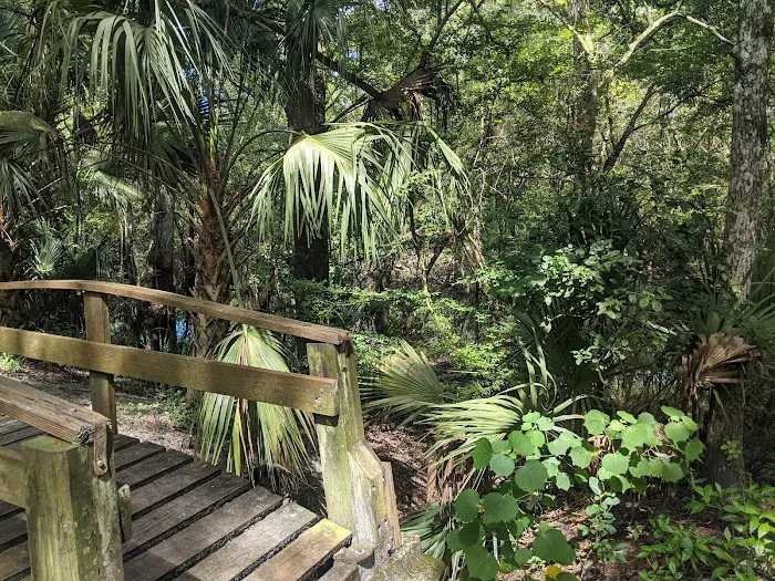 Hillsborough River State Park Campground Picture 7