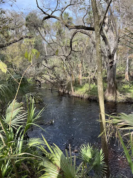 Timberline Glamping at Hillsborough River Picture 6
