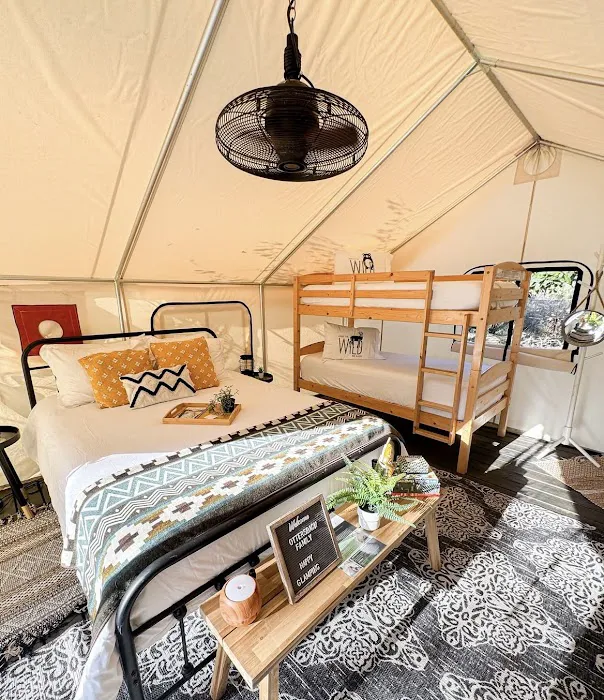 Timberline Glamping at Hillsborough River Picture 10