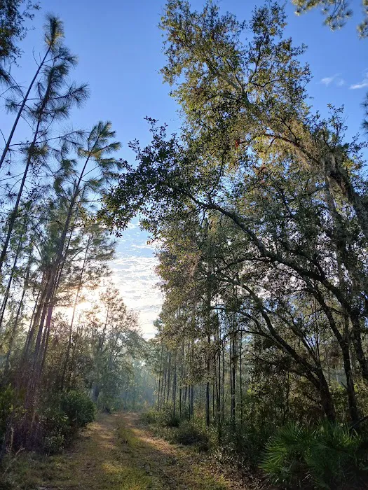 Oakridge Equestrian Campground Picture 7
