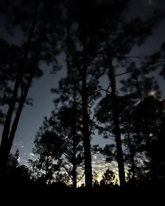 Oakridge Equestrian Campground Picture 3