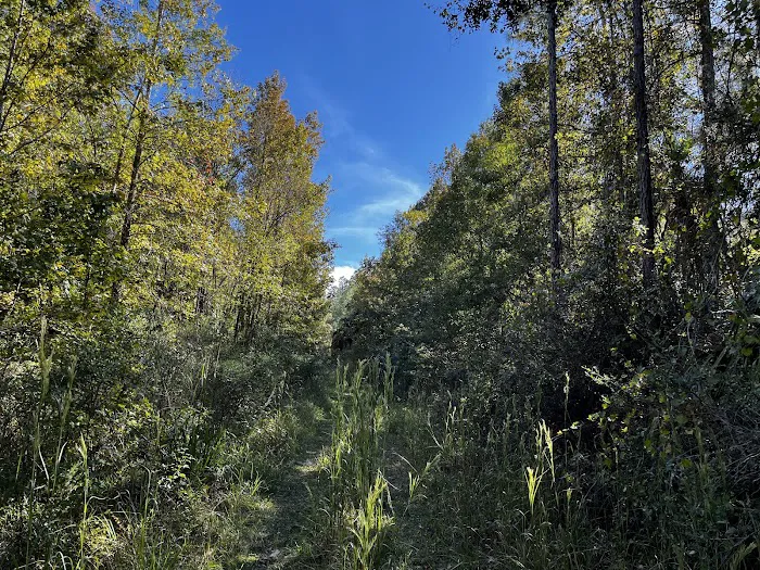 Oakridge Equestrian Campground Picture 5