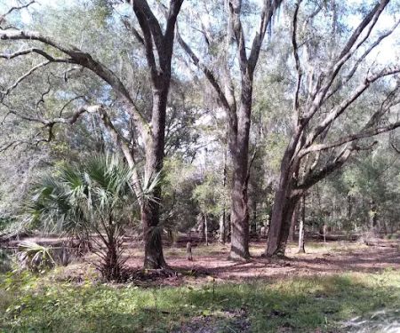 Washburn Equestrian Area