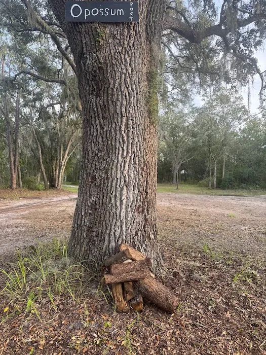 Myrtle Oaks Campground Picture 4