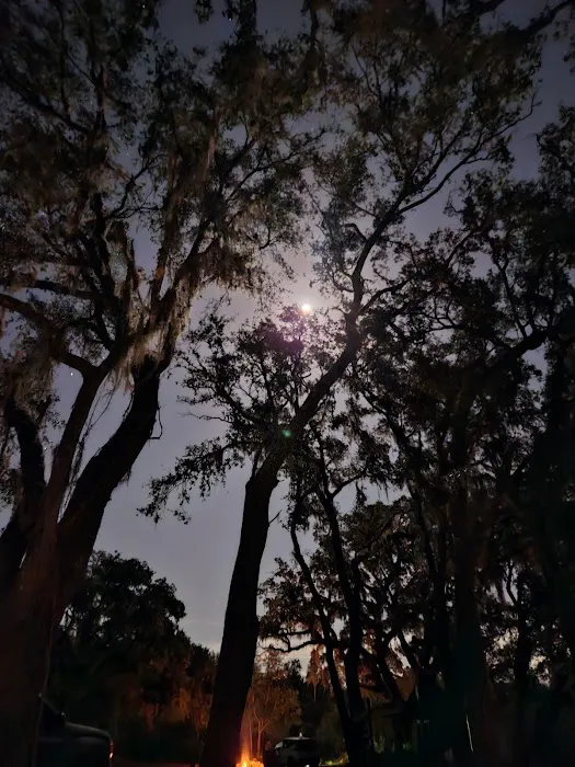 Myrtle Oaks Campground Picture 5