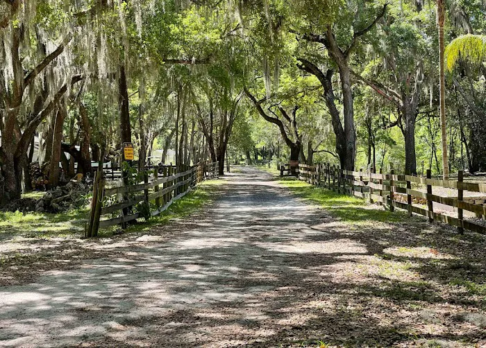 Myrtle Oaks Campground Picture 6