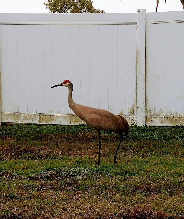 Lazy Dazy Retreat Picture 9