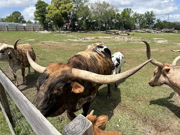 Wilderness Shores Ranch & Campground Picture 3