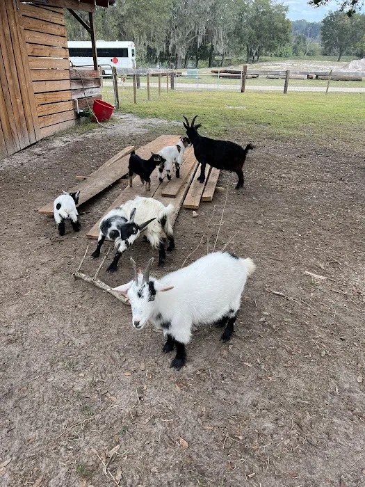 Wilderness Shores Ranch & Campground Picture 6