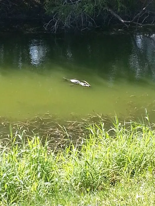 Saddle Creek Campground Picture 1