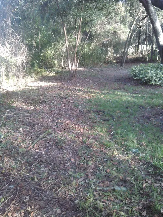 Tampa Bay Baptist Conference Center Picture 8