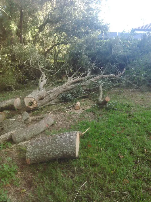 Tampa Bay Baptist Conference Center Picture 10