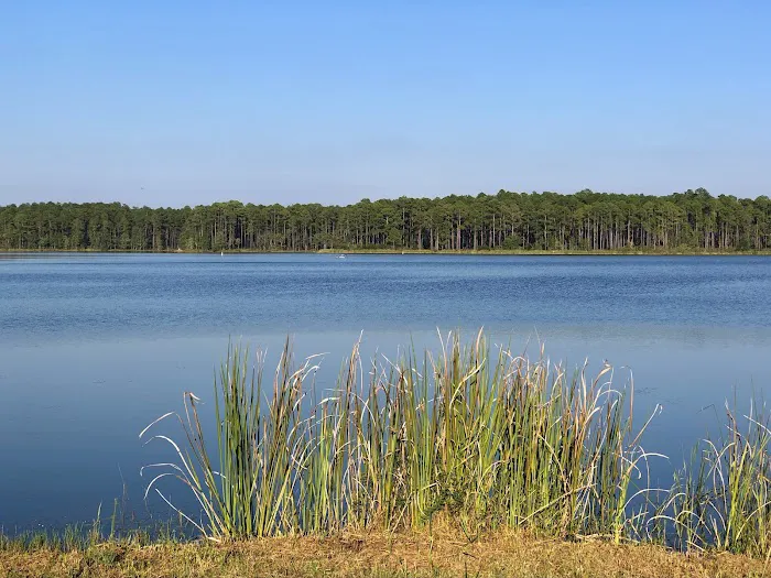 Bear Lake Camp Ground Picture 6