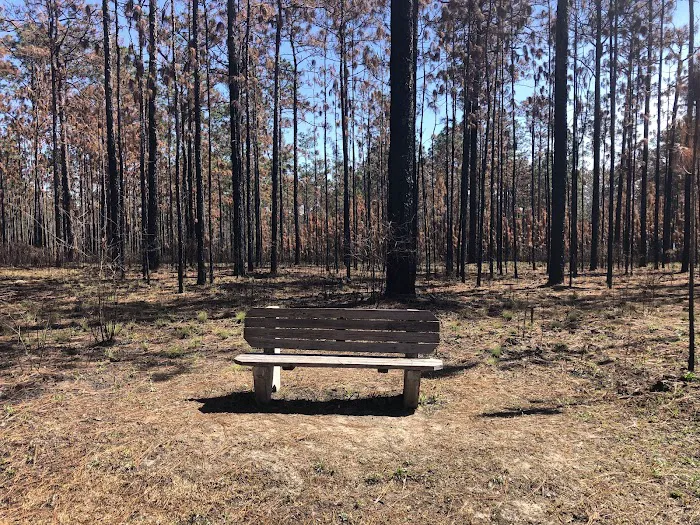 Bear Lake Camp Ground Picture 1