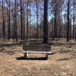 Bear Lake Camp Ground