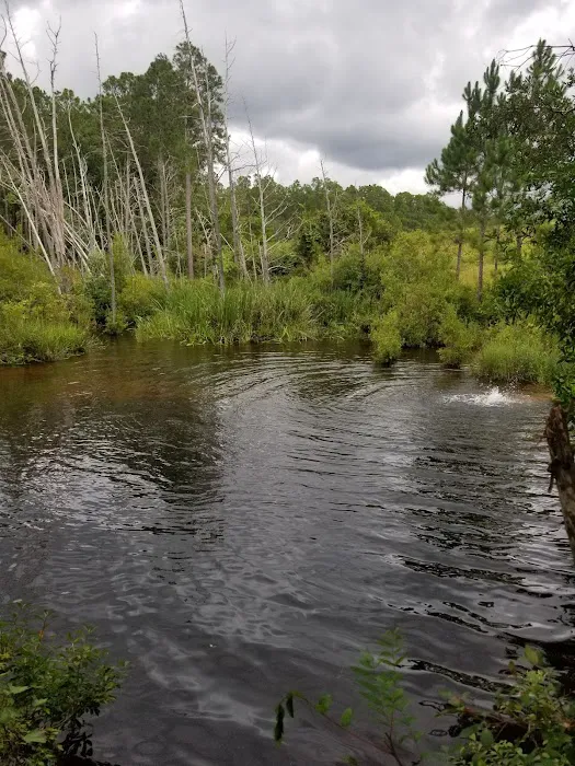 Bear Lake Camp Ground Picture 9