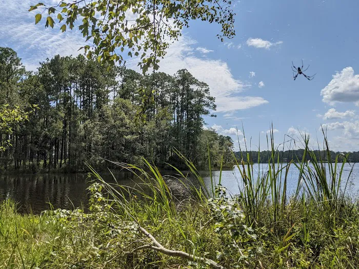 Bear Lake Camp Ground Picture 10