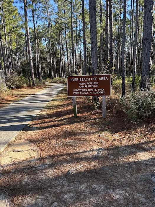 Blackwater River State Park Campground Picture 2